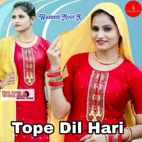 Tope Dil Hari Waseem Noor X MP3 Download