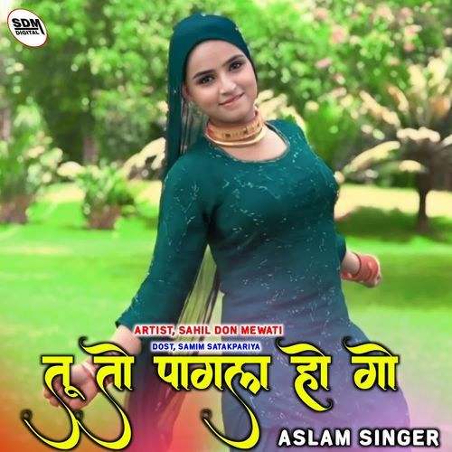 Tuto Pagal Hogo SAHIL DON MEWATI MP3 Download