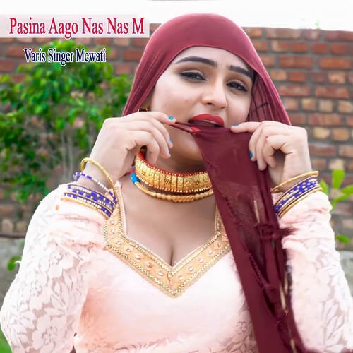 Pasina Aago Nas Nas M Varis Singer Mewati MP3 Download
