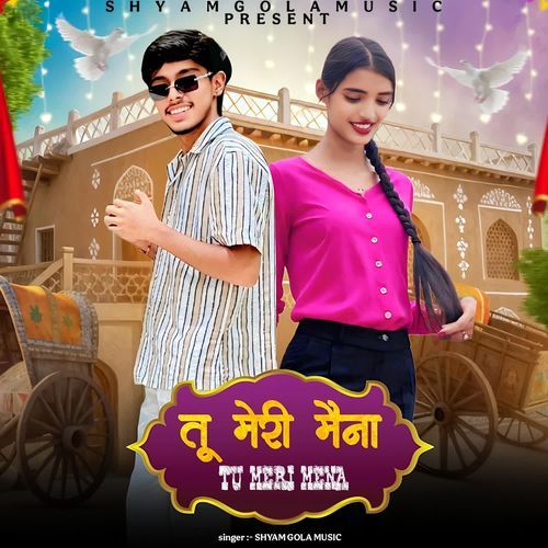Tu meri mena Shyam gola music MP3 Download