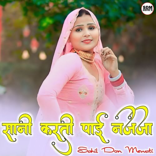 Sani Karti Pai Najja SAHIL DON MEWATI MP3 Download
