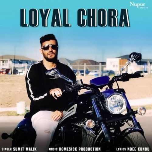 Loyal Chora Sumit Malik MP3 Download