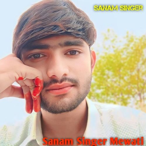 Sanam Singer Mewati Sanam Singer MP3 Download