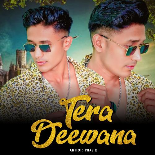 Tera Deewana Prav X MP3 Download
