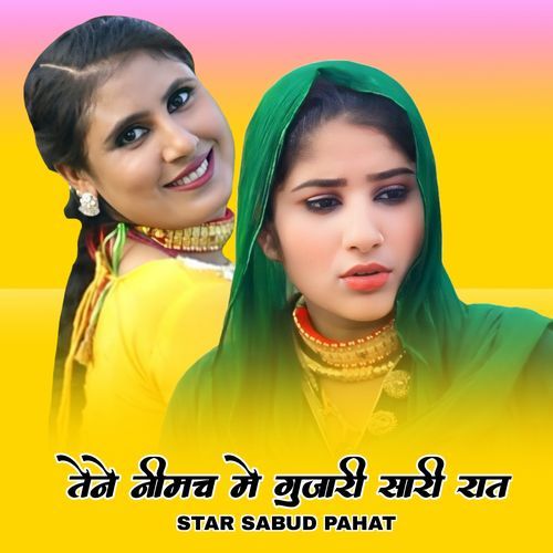 तेने नीमच मे गुजारी सारी रात Sahin Khan Mewati MP3 Download