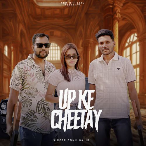 Up Ke Cheetay Sonu Malik MP3 Download