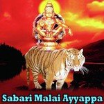 Putturu Narismha Naik Songs MP3 Download