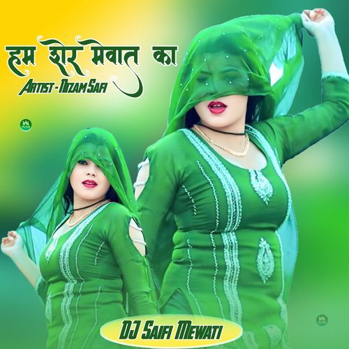 Hum Sher Mewat Ka Nizam Safi MP3 Download