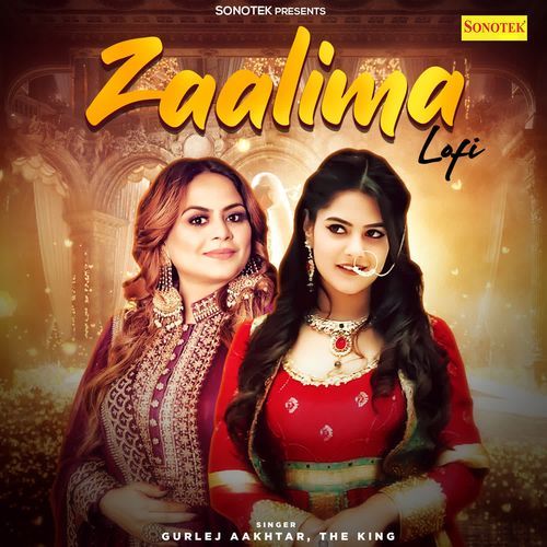 Zaalima Lofi The King MP3 Download