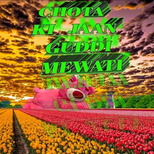 CHOTA KI JAAN GUDDI MEWATI Ansar alwar MP3 Download
