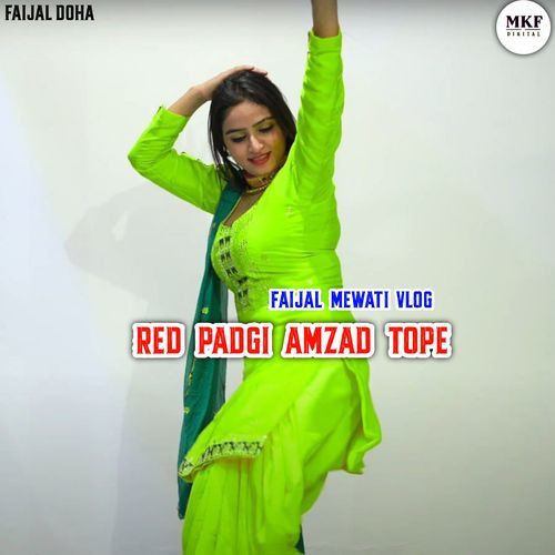 Red Padgi Amzad Tope Faijal Mewati Vlog  MP3 Download