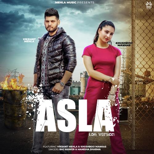 Asla (Lofi Version) Raj Mawar MP3 Download