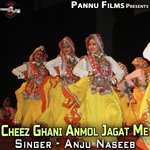 Cheez Ghani Anmol Jagat Me - Anju Naseeb Song Download