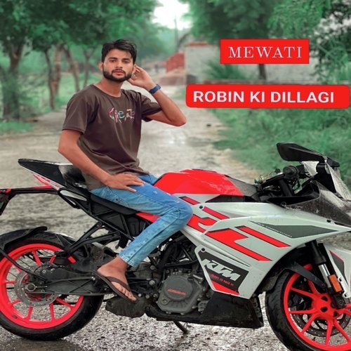 Robin Ki Dillagi (Mewati) Aslam Mewati Singer MP3 Download
