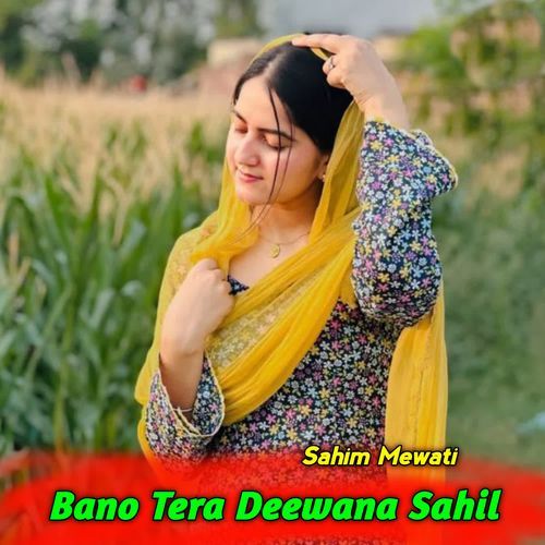 Bano Tera Deewana Sahil Sahim Mewati MP3 Download