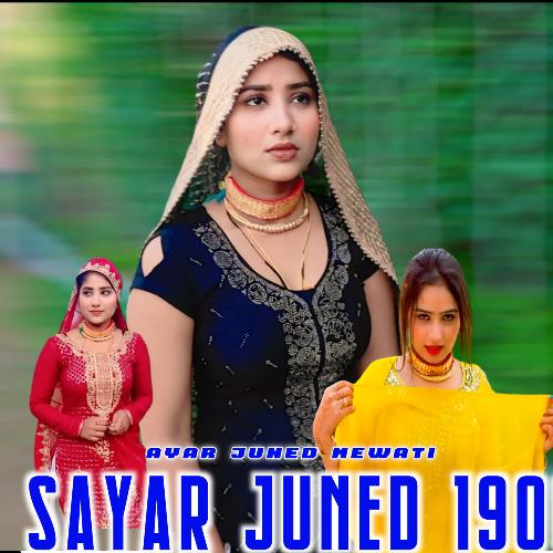 Sayar Juned 1900 Sayar Juned Mewati MP3 Download