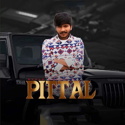 Pittal Karan Goswami MP3 Download