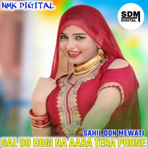 SAL DO HOGI NA AARA TERA PHONE SAHIL DON MEWATI MP3 Download