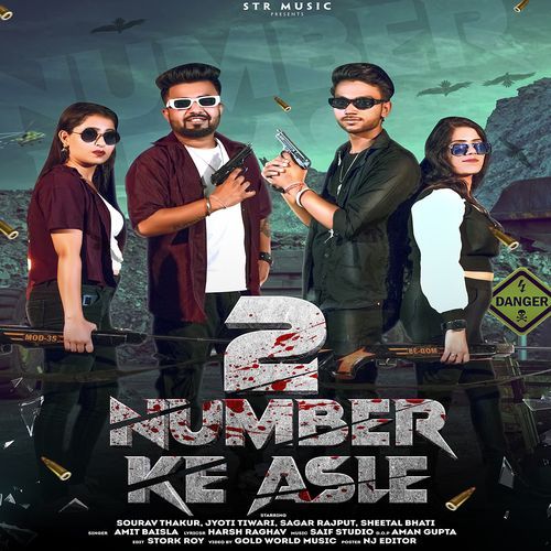 2 Number Ke Asle Amit Baisla MP3 Download