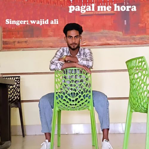 Pagal Me Hora Wajid Ali MP3 Download