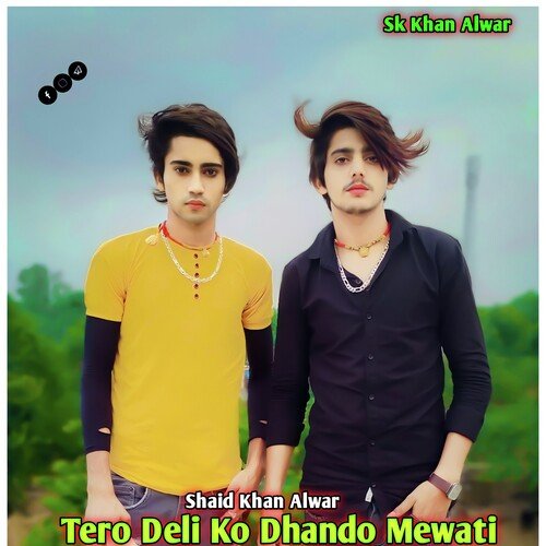 Tero Deli Ko Dhando Mewati Shaid Khan Alwar MP3 Download