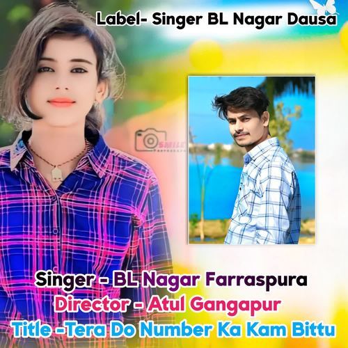 Tera Do Number Ka Kam Bittu BL Nagar Farraspura MP3 Download