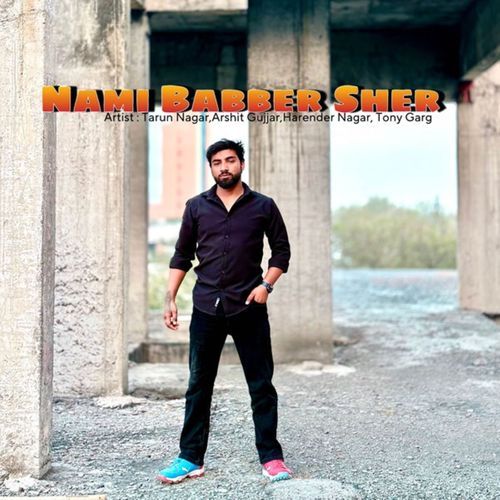 Nami Babber Sher Harender Nagar MP3 Download