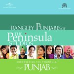 Maninder Singh
