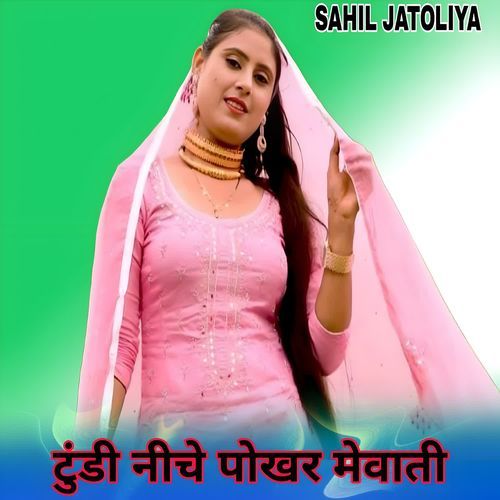 टुंडी नीचे पोखर मेवाती Waseem Raniya MP3 Download