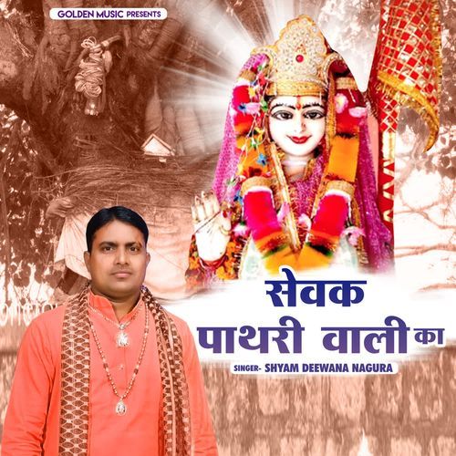 Sewak Pathri Wali Mata Ka Shyam Diwana Nagura MP3 Download