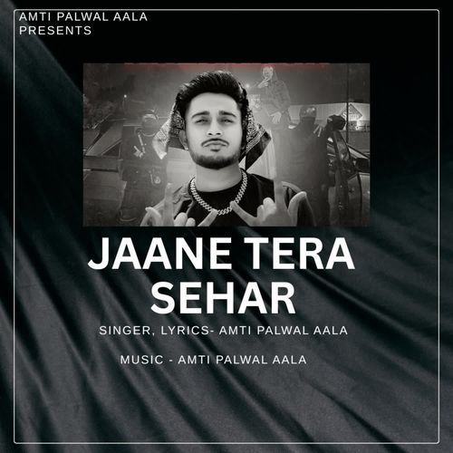 Jaane Tere Sehar Amti Palwal Aala MP3 Download