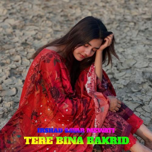 TERE BINA BAKRID Irshad Sayar Mewati MP3 Download