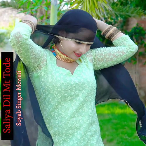 Saliya Dil Mt Tode Soyab Singer Mewati MP3 Download