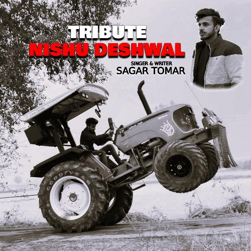 Tribute Nishu Deswal Mohit Jassia MP3 Download