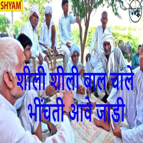 Sheeli Sheeli Baal Chaale Bhinchti Aawe Jaadi Rakesh Kaloi MP3 Download