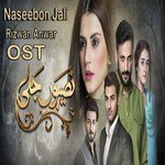 Rizwan Anwar Songs MP3 Download