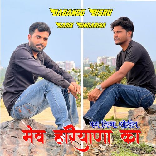 पढ़ा लिखा शौकीन मेव हरियाणा का Sadik Singariya MP3 Download