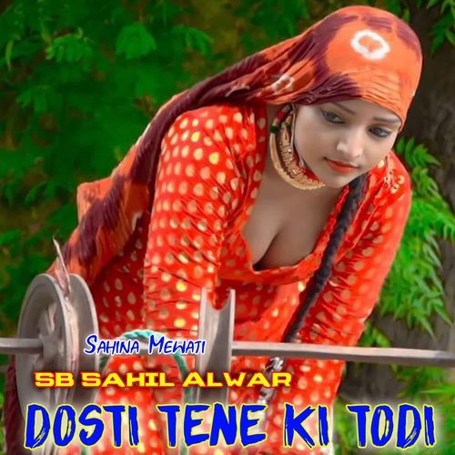 Dosti Tene Ki Todi SB Sahil Alwar MP3 Download