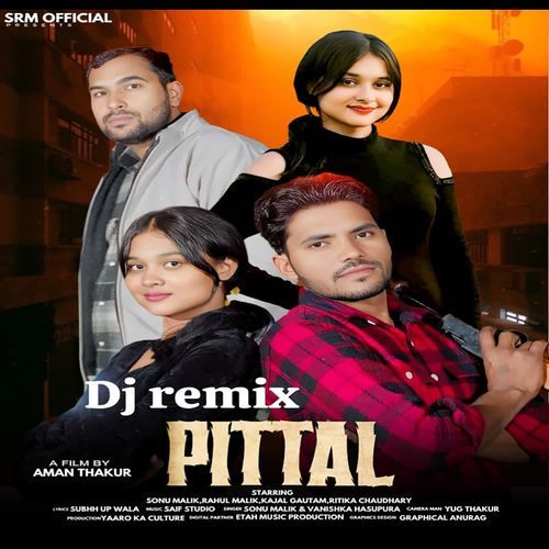 Pittal Dj Remix Vanishka Hasupura MP3 Download