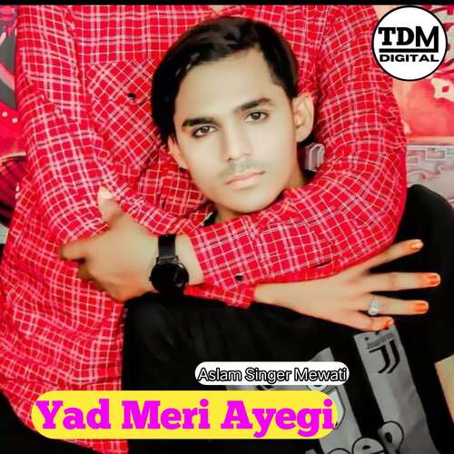 Yad Meri Ayegi Aslam Singer Mewati MP3 Download