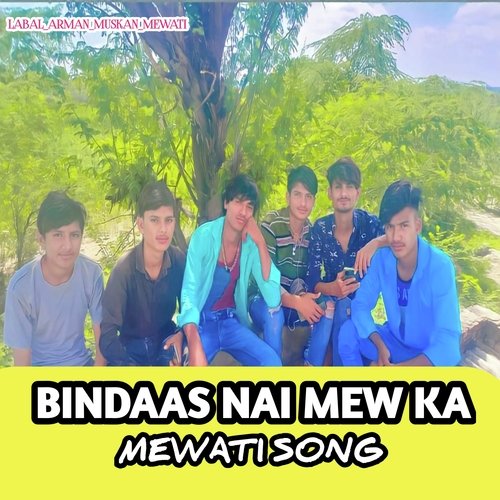 Bindass nai mew ka chhora Aslam Singer Mewati MP3 Download