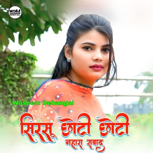 Sirsu Choti Choti Naharo Sawad Waseem Dehangal MP3 Download