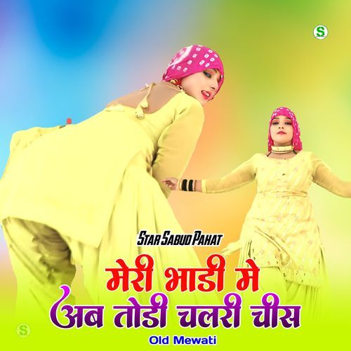 मेरी भाडी मे अब तोडी चलरी चीस ओल्ड मेवाती Star Sabud Pahat MP3 Download