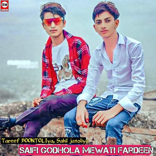 Saifi Godhola Mewati Fardeen Tareef BOONTOLIYA MP3 Download