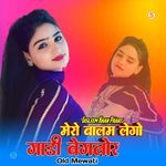 मेरो बालम लेगो गाडी बेगलोर ओल्ड मेवाती Album Download