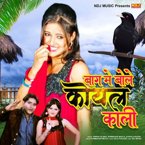 Baagh Me Bole Koyal Kali Pawan Pilania MP3 Download