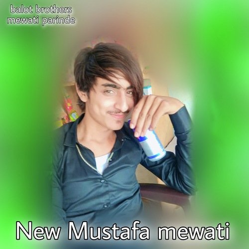 New Mustafa mewati (Mewati song) Mewati Parinde MP3 Download