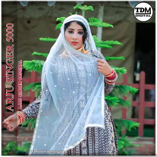 Ajru Singer 5000 Ajru Singer Original MP3 Download