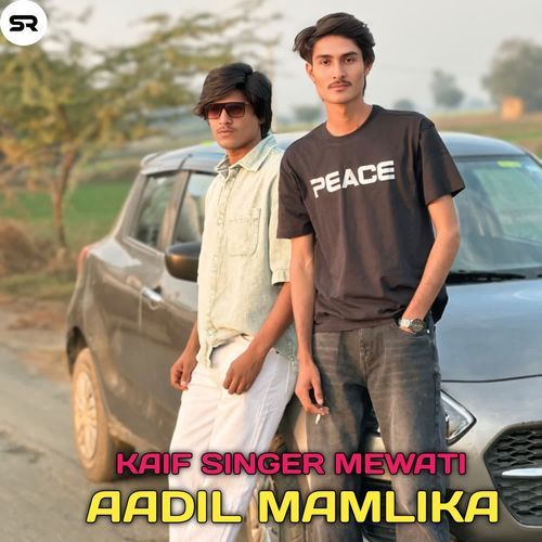 Aadil mamlika Kaif Singer Mewati MP3 Download