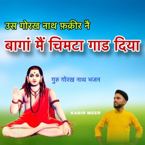 Baga Me Chimta Gaad Diya Kabil Meer MP3 Download